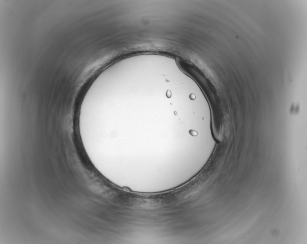 X0000090420486200708101946