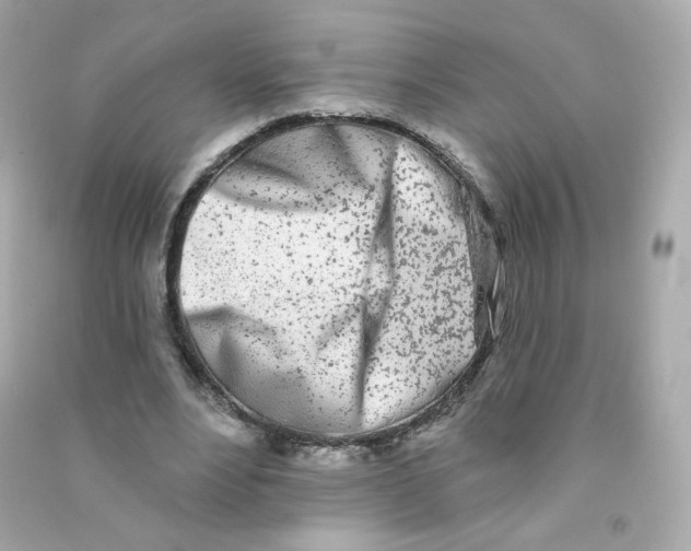 X0000090420488200708101946