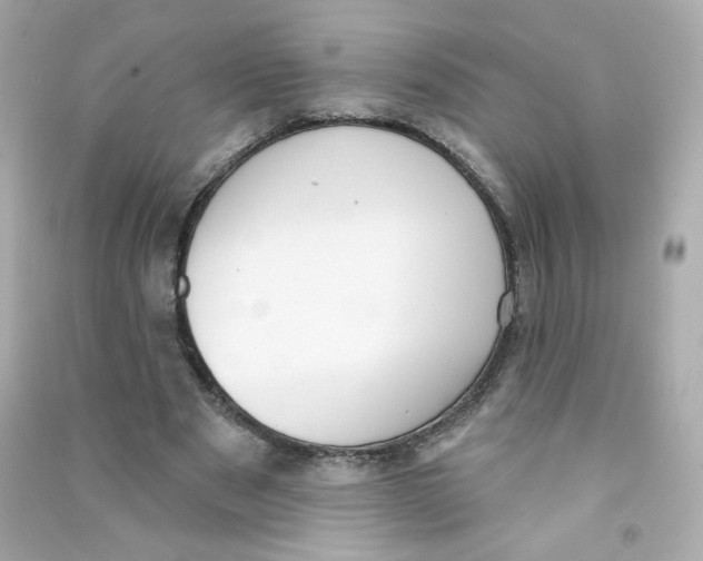 X0000090420489200708101946