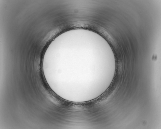X0000090420490200708101946