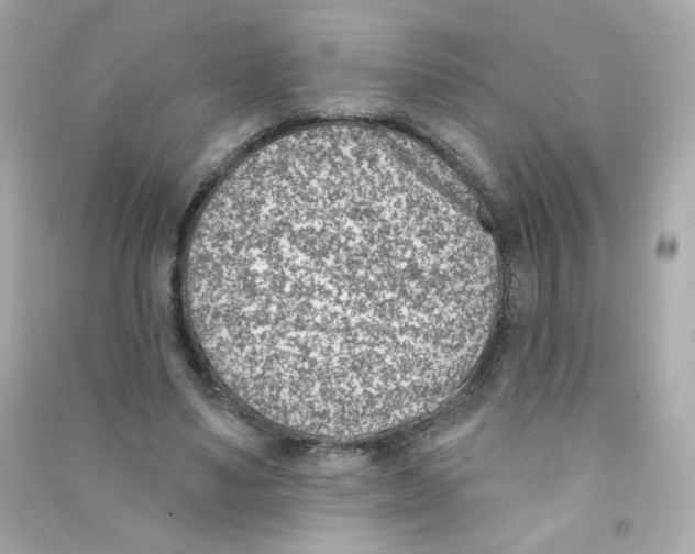 X0000090420491200708101946