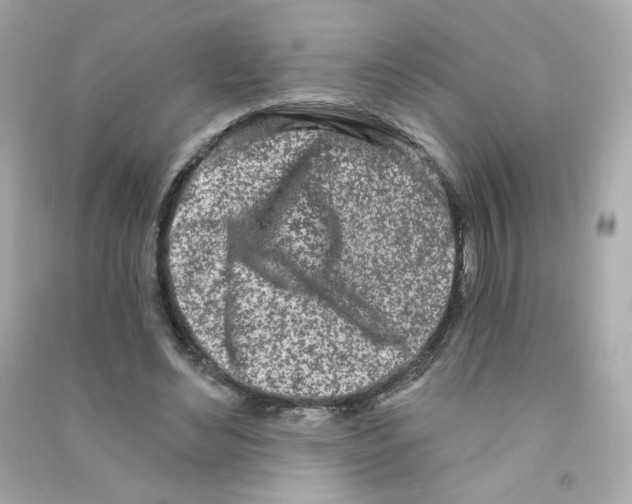 X0000090420492200708101946