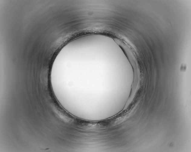 X0000090420493200708101946