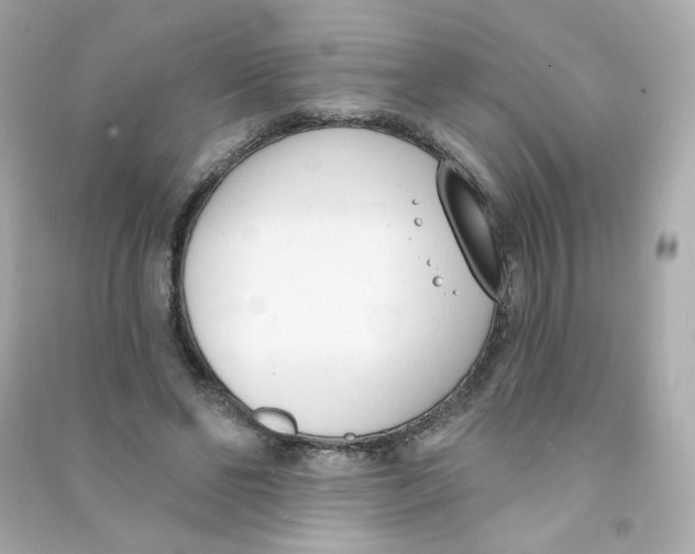 X0000090420494200708101946