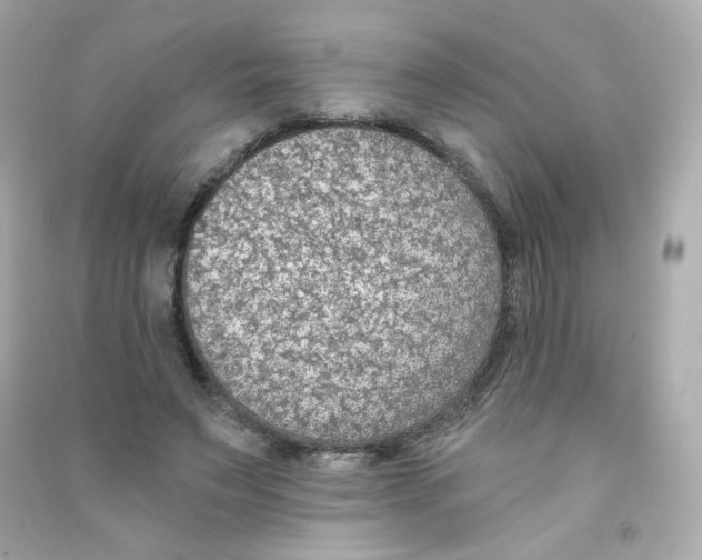 X0000090420495200708101945
