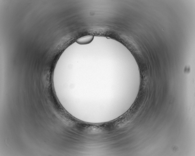 X0000090420498200708101945