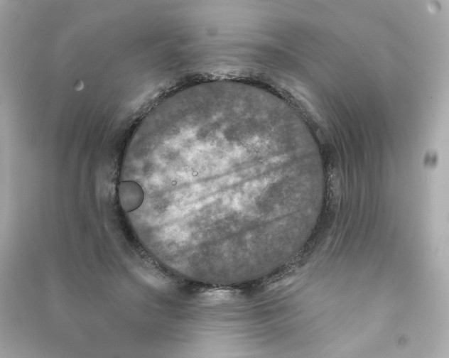 X0000090420499200708101945