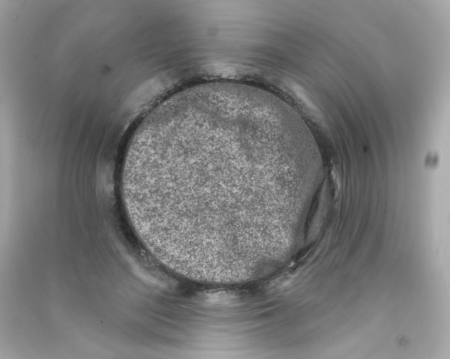 X0000090420500200708101945