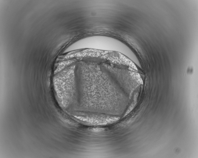 X0000090420501200708101945