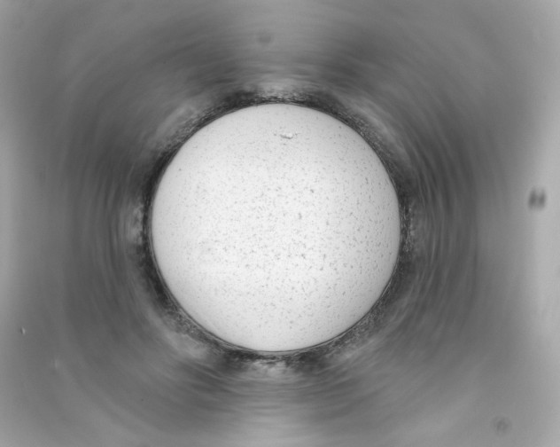 X0000090420502200708101945