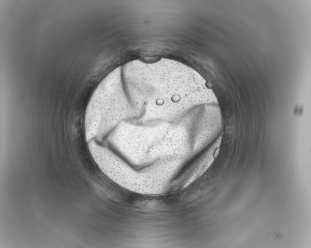 X0000090420503200708101945