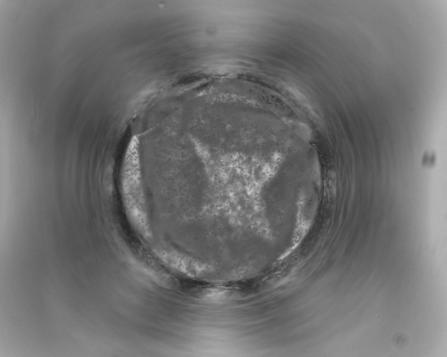 X0000090420504200708101945
