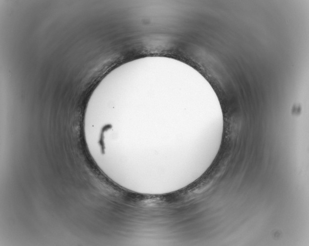 X0000090420505200708101945