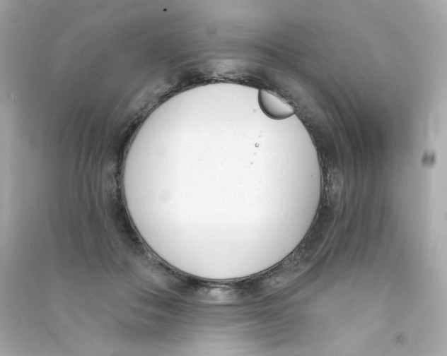 X0000090420506200708101945