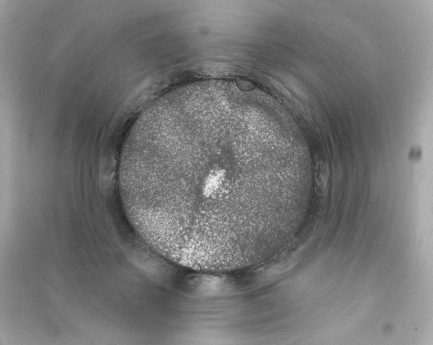X0000090420507200708101945