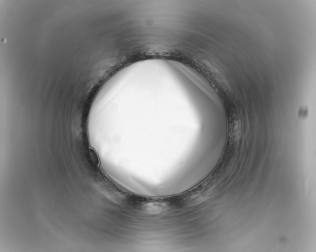 X0000090420508200708101945