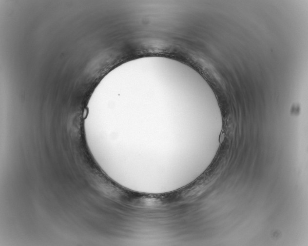X0000090420509200708101945