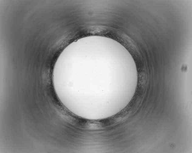 X0000090420510200708101945