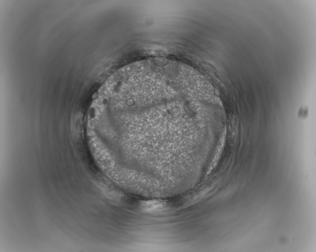 X0000090420511200708101945