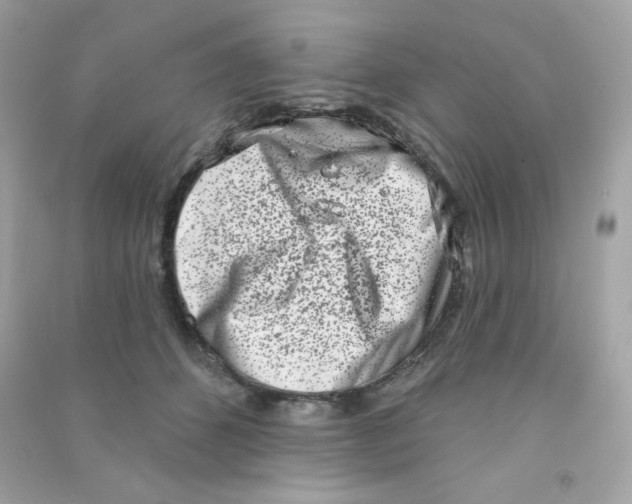 X0000090420512200708101945