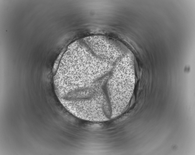 X0000090420513200708101945
