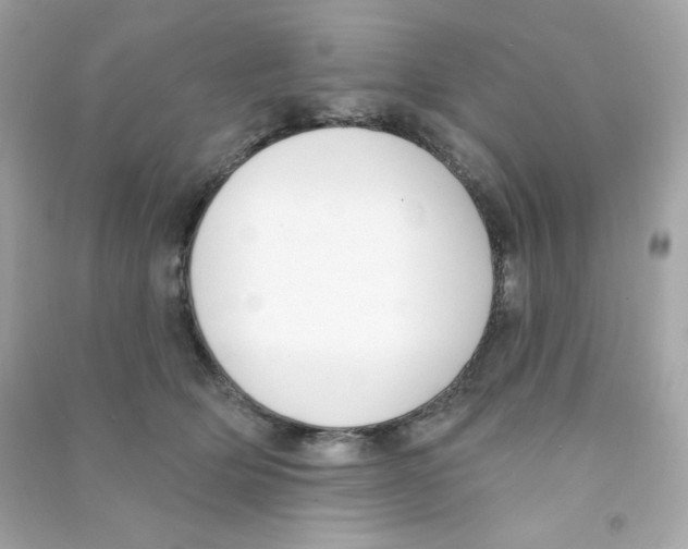X0000090420514200708101945
