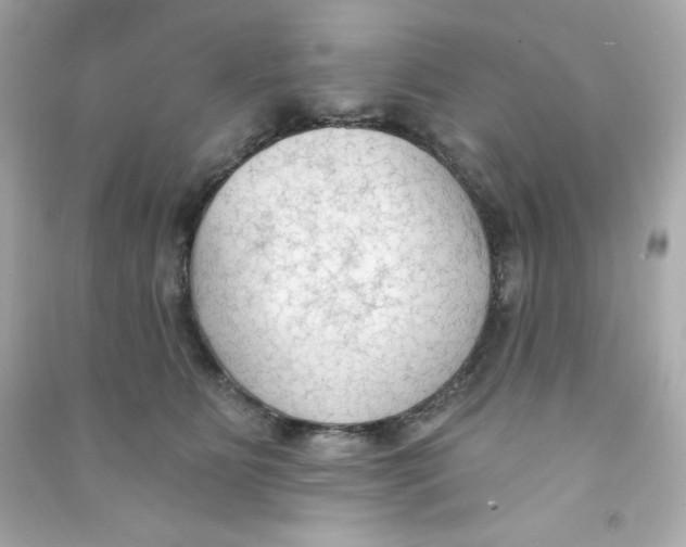 X0000090420515200708101945