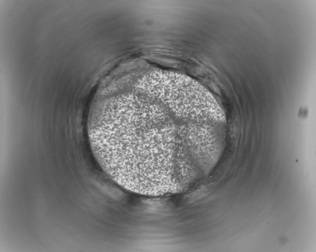 X0000090420516200708101945