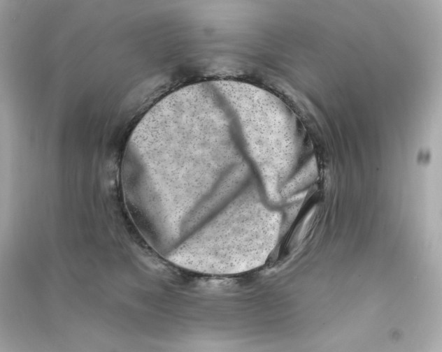 X0000090420517200708101945