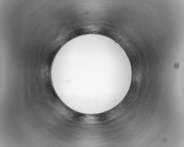X0000090420518200708101945