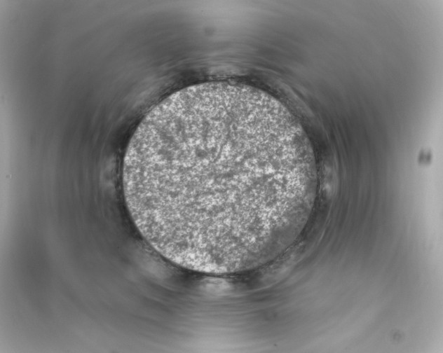 X0000090420519200708101945