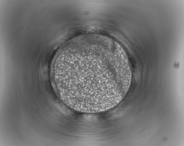 X0000090420520200708101945