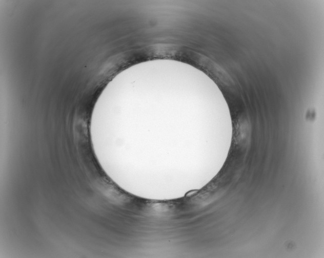 X0000090420522200708101945