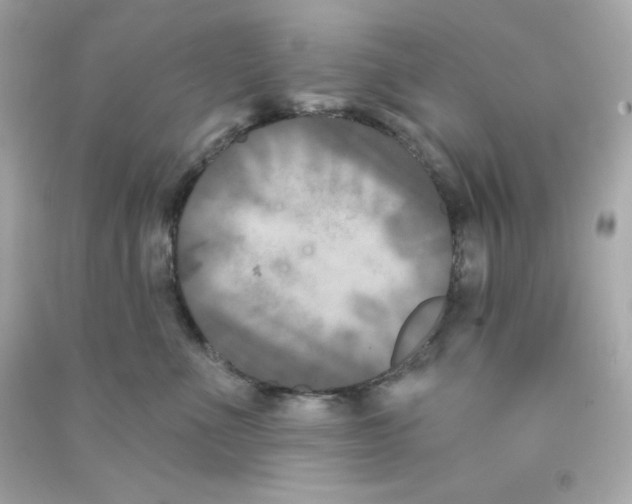 X0000090420523200708101945