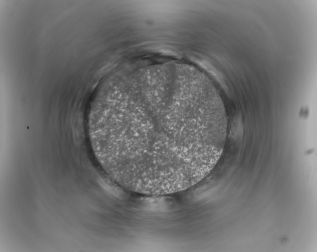 X0000090420524200708101945