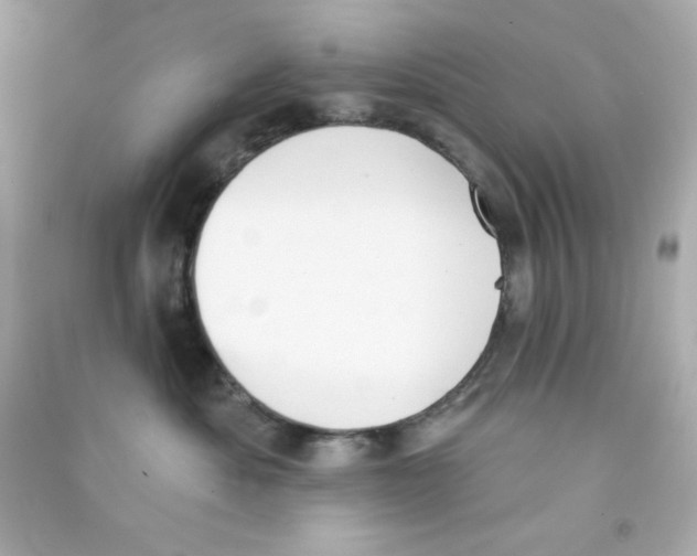 X0000090420525200708101945