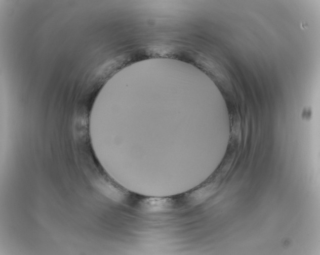 X0000090420526200708101945