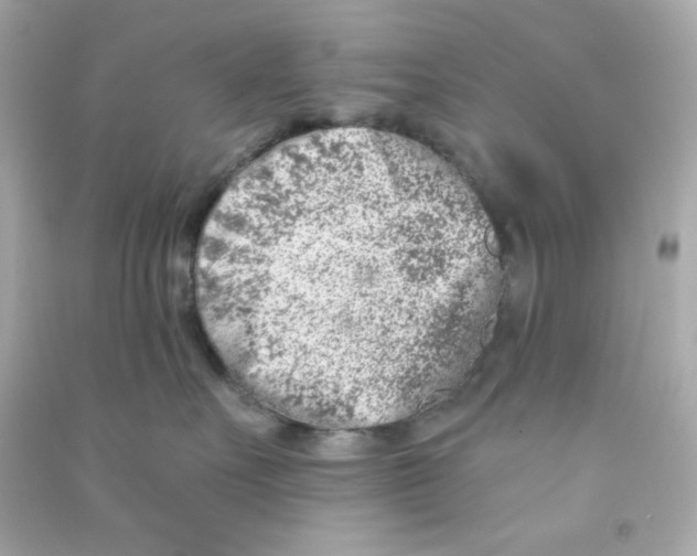 X0000090420527200708101945