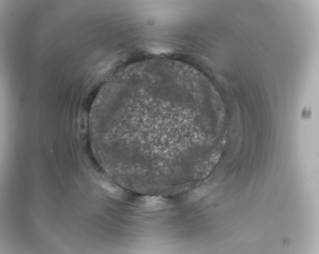 X0000090420528200708101945