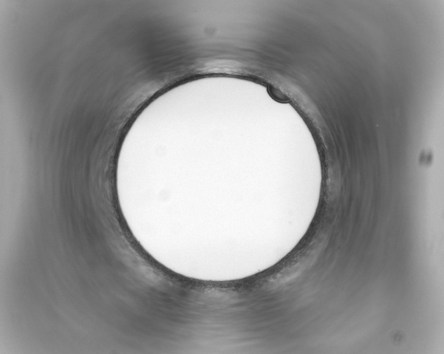 X0000090420529200708101944
