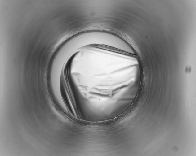 X0000090420530200708101944
