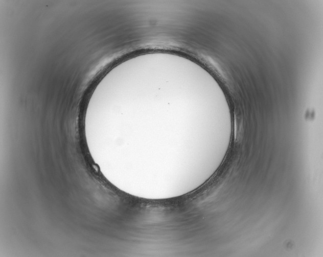 X0000090420531200708101944