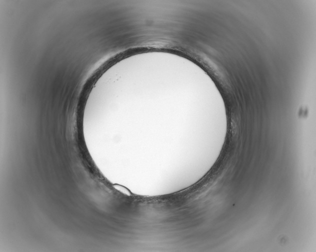 X0000090420532200708101944