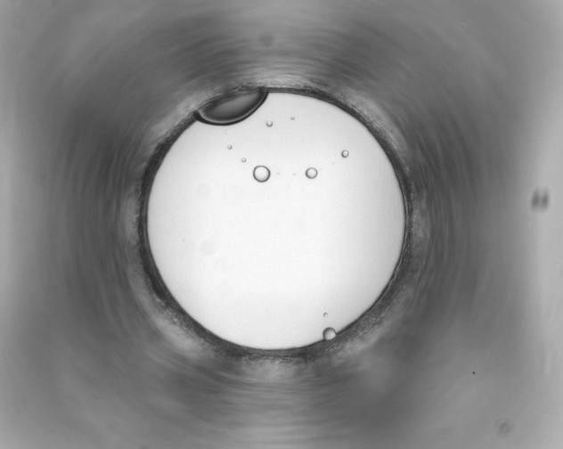 X0000090420533200708101944