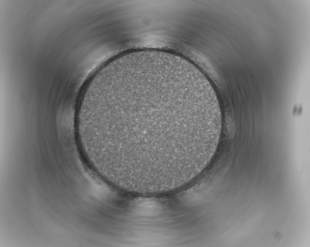 X0000090420534200708101944