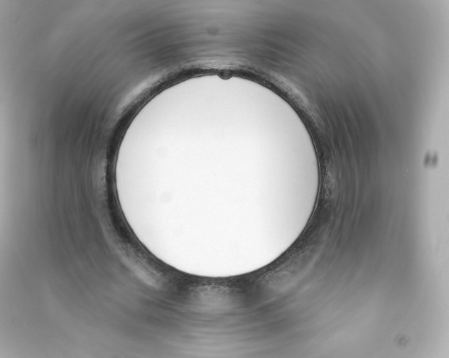 X0000090420535200708101944