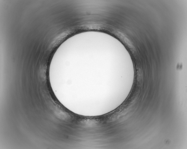 X0000090420537200708101944