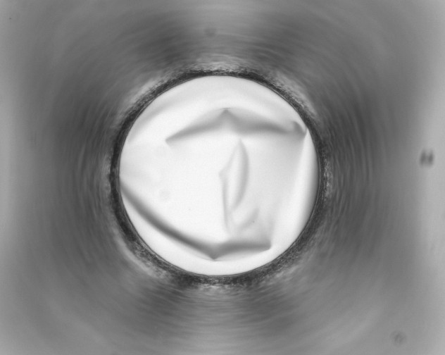 X0000090420538200708101944