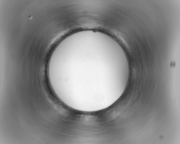 X0000090420539200708101944