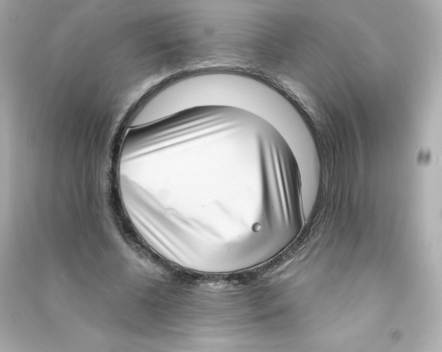 X0000090420540200708101944